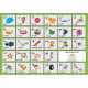 Blends and Digraphs Card